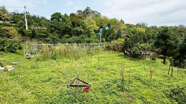 新竹峨眉農地_山坡地-12