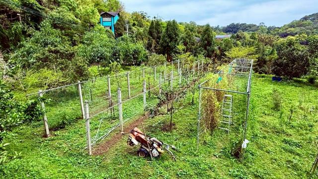 新竹峨眉農地_山坡地-13