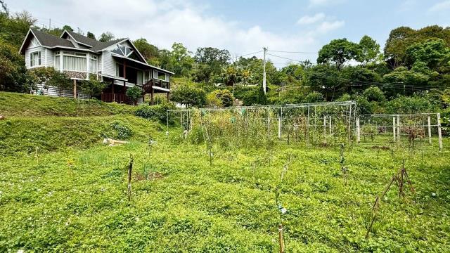 新竹峨眉農地_山坡地-14