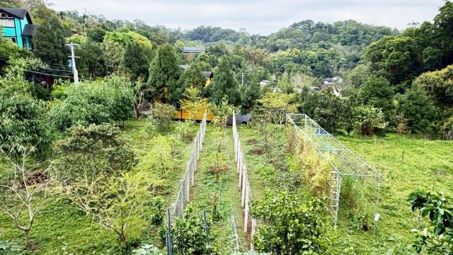 新竹峨眉農地_山坡地-15