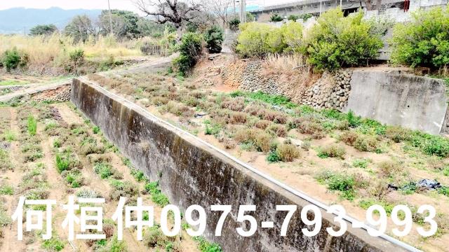 苗栗銅鑼農地-5