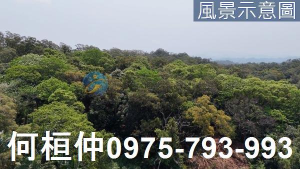 苗栗造橋水利用地-4