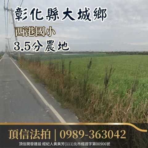 彰化大城法拍農地-1