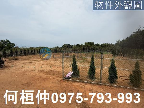 苗栗通霄農地-5