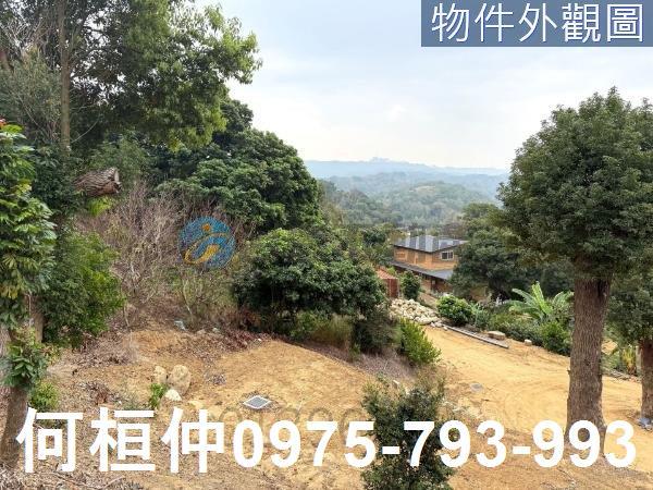 苗栗通霄農地_山坡地_休閒地-2