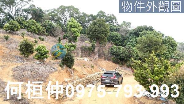 苗栗通霄農地_山坡地_休閒地-3