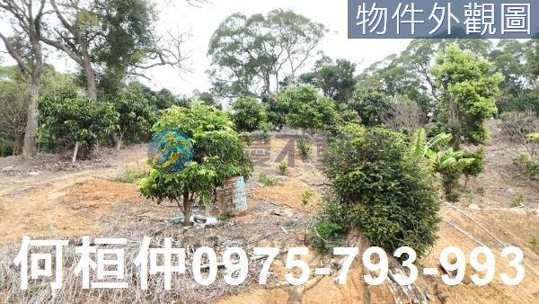 苗栗通霄農地_山坡地_休閒地-4