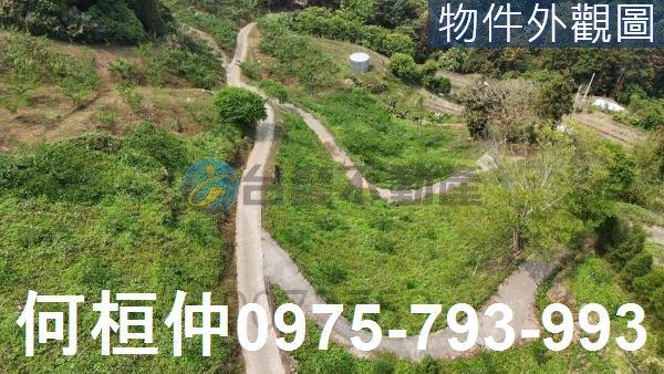大湖農地-2