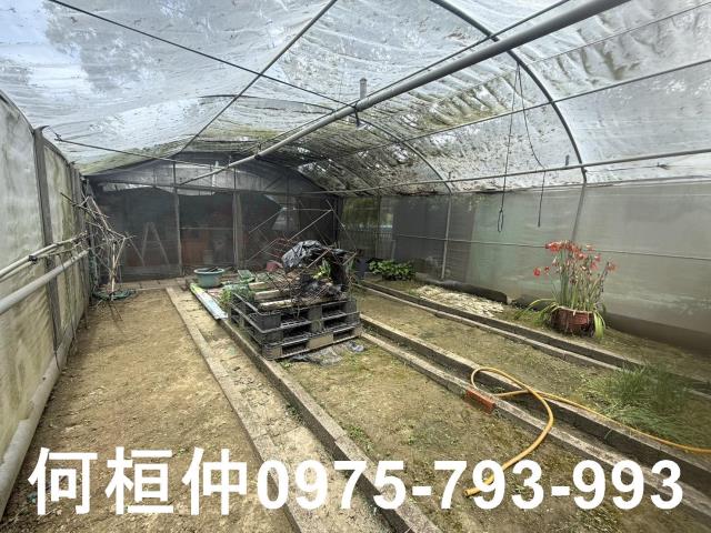 通霄農地_山坡地_休閒地-10