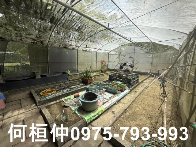 通霄農地_山坡地_休閒地-8