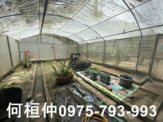通霄農地_山坡地_休閒地-9