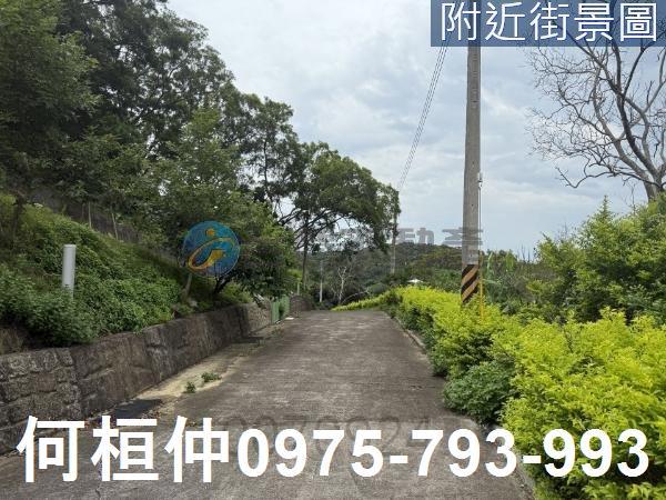 通霄農地_山坡地_休閒地-3