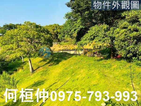 通霄農地_山坡地_休閒地-4