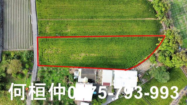 公館農地_休閒地-10