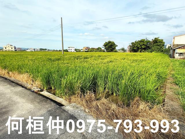 公館農地_休閒地-11