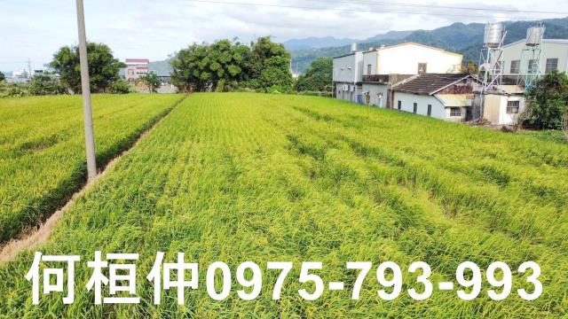 公館農地_休閒地-4
