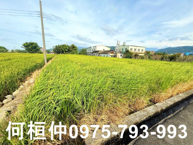 公館農地_休閒地-5