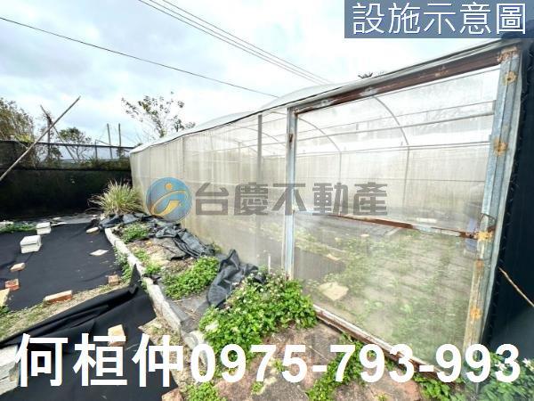通霄農地_休閒地-8