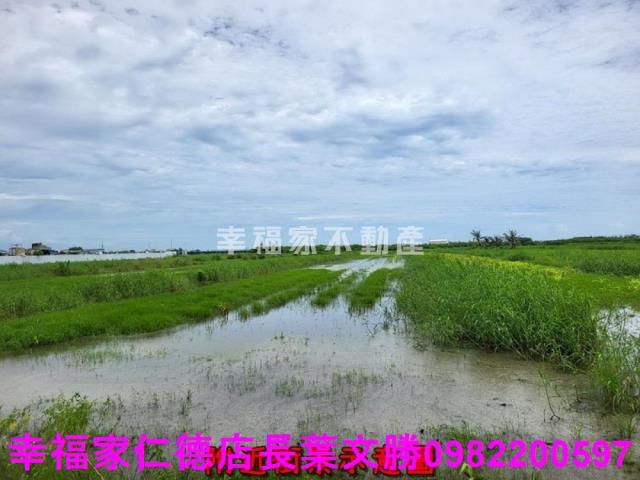 七股農地-15