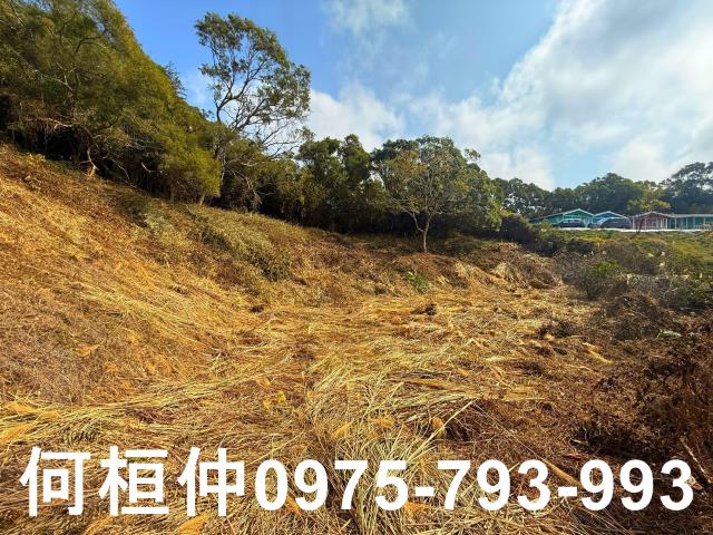 通霄農地-1