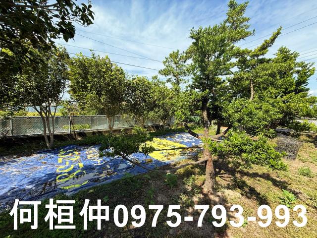 公館農地_休閒地-10