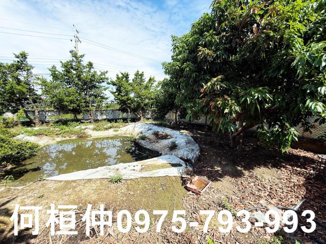 公館農地_休閒地-11
