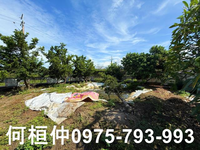 公館農地_休閒地-12