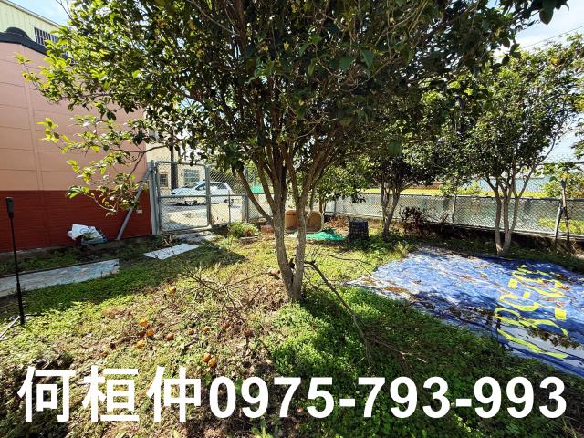 公館農地_休閒地-13