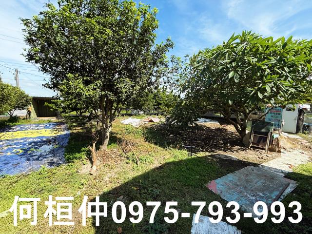 公館農地_休閒地-4