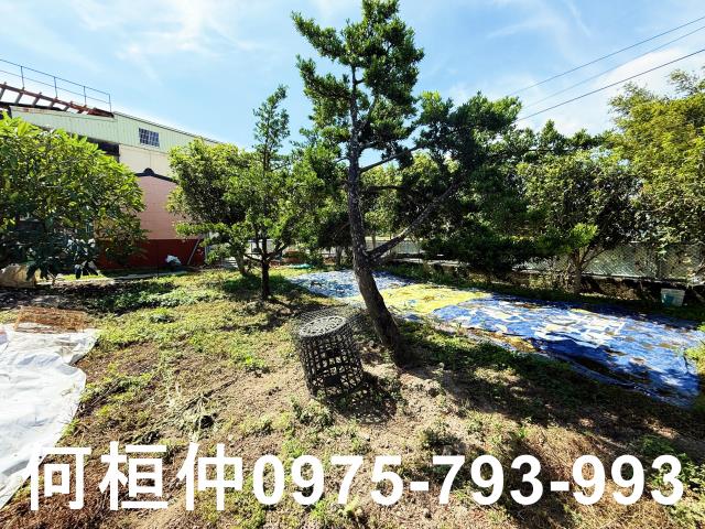公館農地_休閒地-7