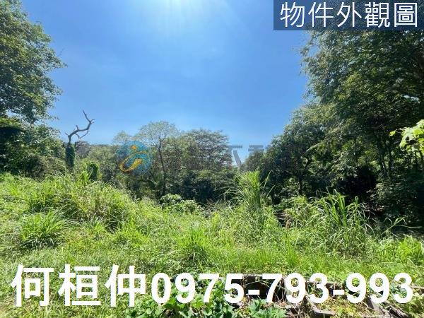 通霄農地_山坡地_休閒地-1