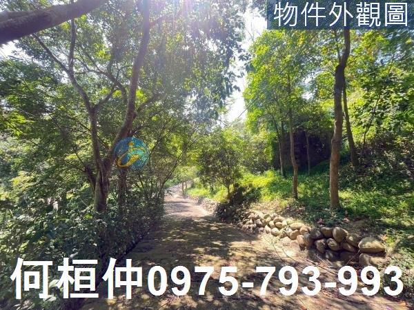 通霄農地_山坡地_休閒地-2