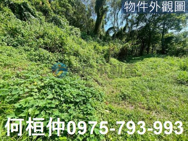 通霄農地_山坡地_休閒地-3