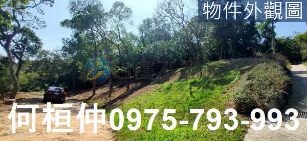 通霄農地_山坡地_休閒地-1