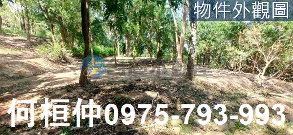 通霄農地_山坡地_休閒地-3