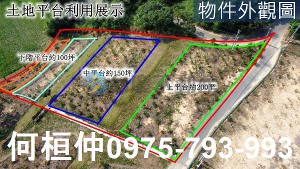 苑裡農地_山坡地_休閒地-2