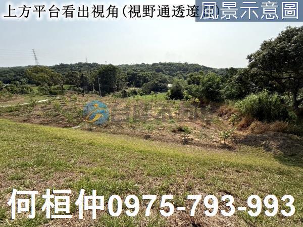 苑裡農地_山坡地_休閒地-3