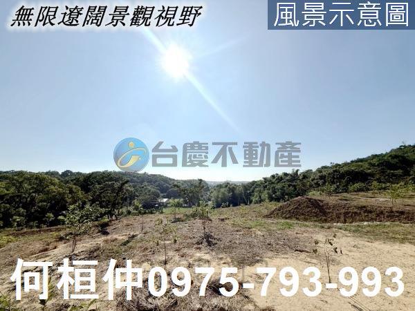 苑裡農地_山坡地_休閒地-5