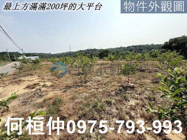 苑裡農地_山坡地_休閒地-6