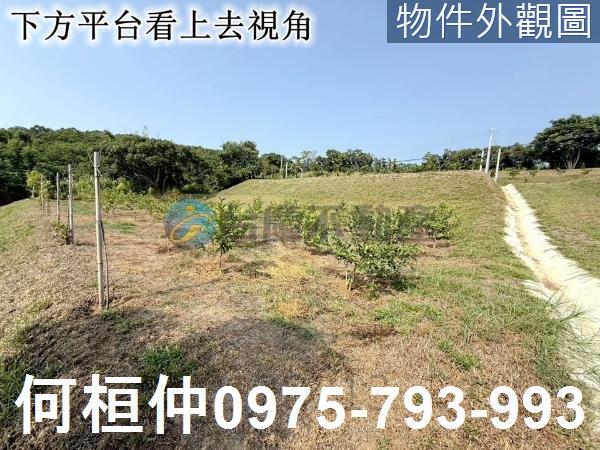 苑裡農地_山坡地_休閒地-7