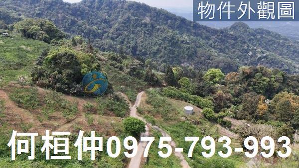 大湖農地_山坡地_休閒地-1