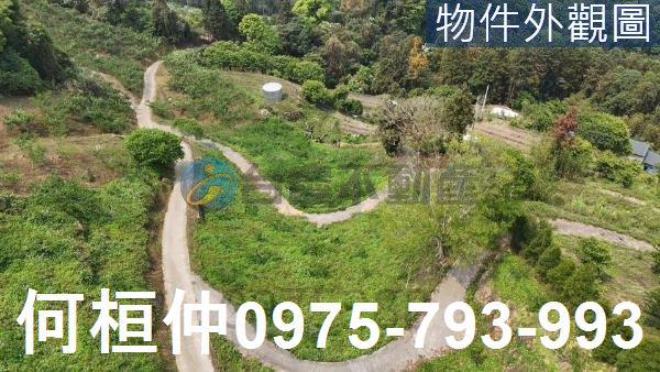 大湖農地_山坡地_休閒地-2