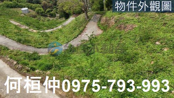 大湖農地_山坡地_休閒地-3