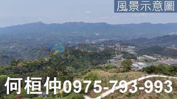 大湖農地_山坡地_休閒地-4