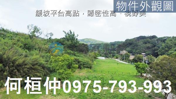 苗栗農地_山坡地_休閒地-8
