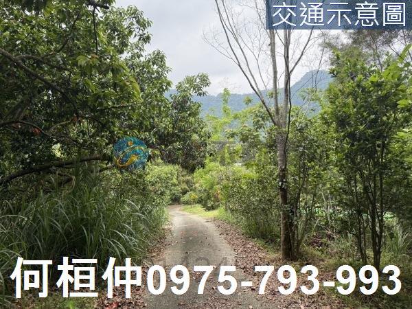 苗栗農地-4
