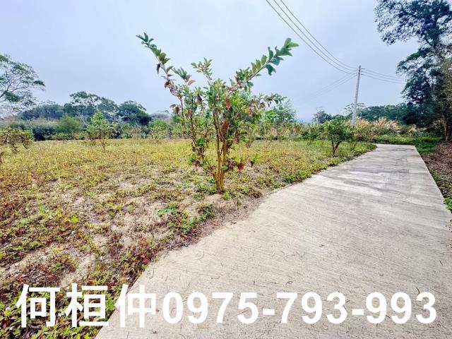 苗栗農地_山坡地_休閒地-11