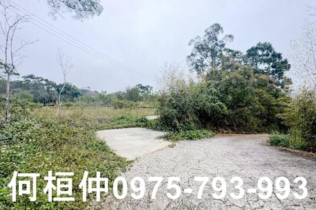 苗栗農地_山坡地_休閒地-12