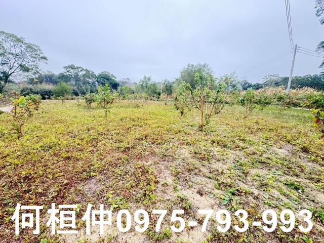 苗栗農地_山坡地_休閒地-2