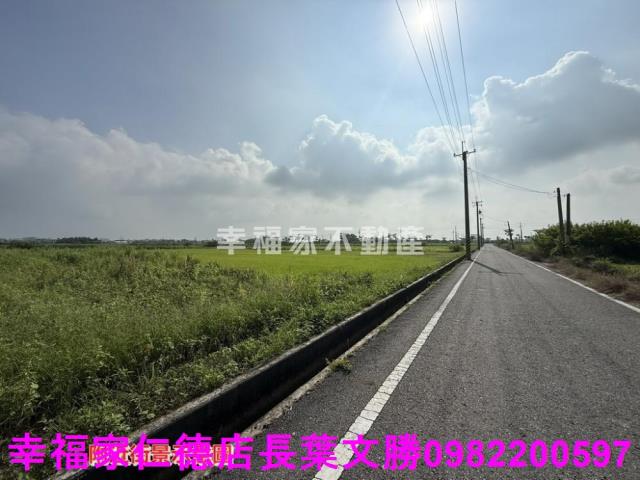 台南佳里農地-10